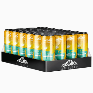 Latitude 65 Kusten - Ananas 33cl x 24st (helt flak)
