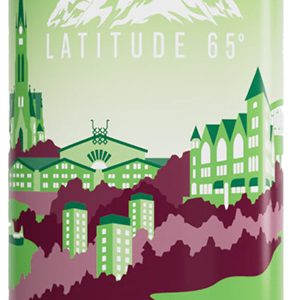 Latitude 65 Vitamindryck - Luleå Äpple/Päron 50cl